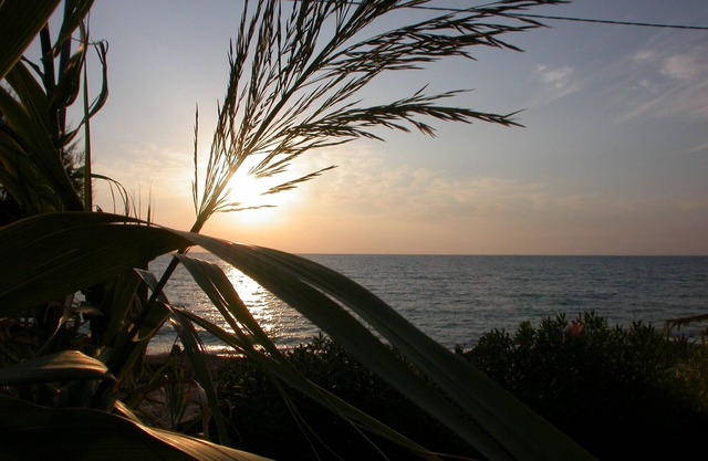Villa Caretta Studio for 2 persons directly by the sea