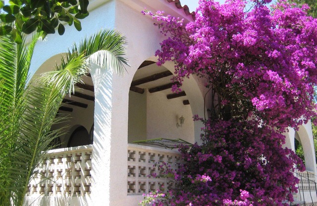Villa in an excl. location, elevated on the 1st sealine, 300m from beach, 170m²