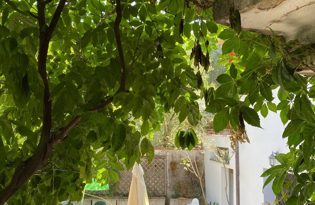 Villa Immersed in the greenery of the Cilento national park in Palinuro