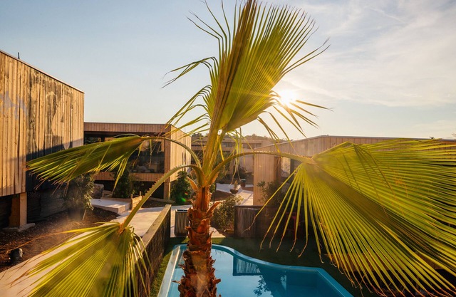 Festival Villa Typ Kolan 