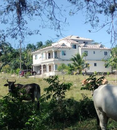 Villa Magante