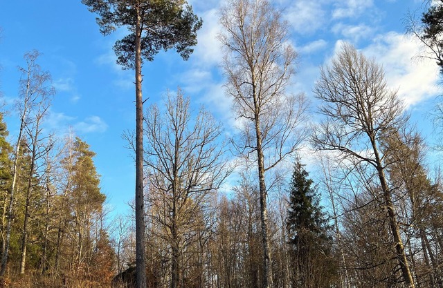 Villa near nature and lake with large terrace