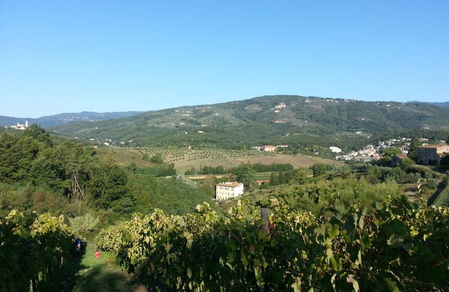 villa niccoli -il salicone