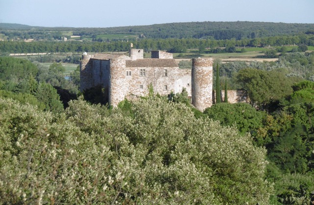 Villa on one level with pool near Uzès