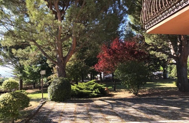 Villa Pina. Splendid villa with park