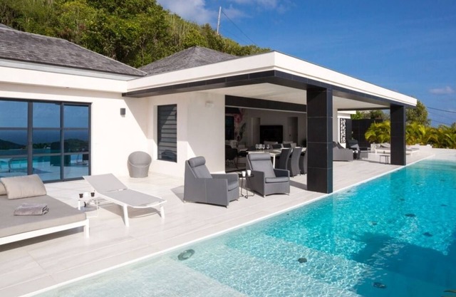 Villa Dog 