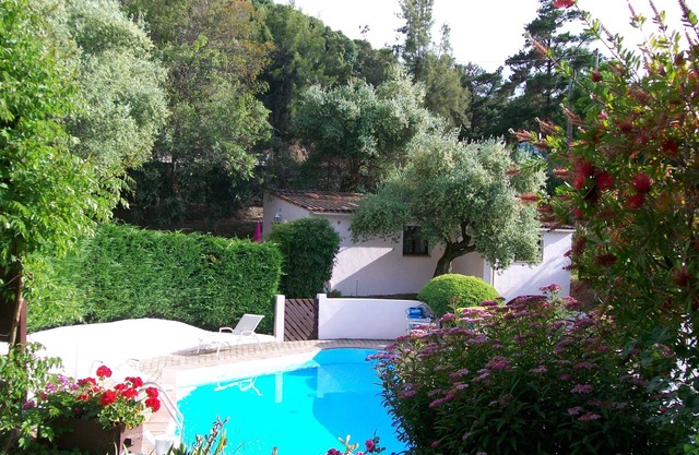 VILLA UNDER THE OLIVE TREES