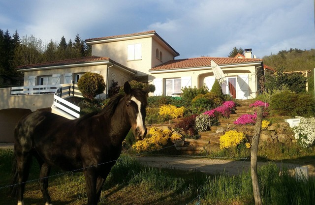VILLA, VIEW, VOLCANO PARK, BEACH, SAILING, SKIING, MOUNTAIN BIKING, ACTIVITIES