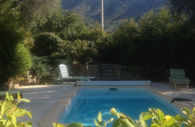 Villa with swimming pool in a property planted with century-old olive trees