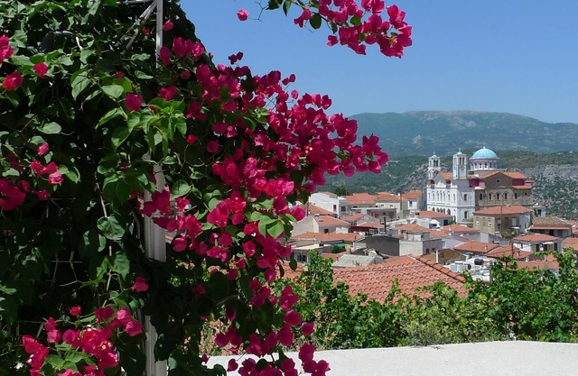 Village home, terraces, garden, gorgeous views, 15 min to beach