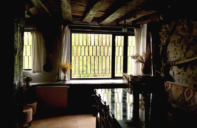 Villapajar, rural house by the river in the Sierra de la Demanda, 26km from Burgos