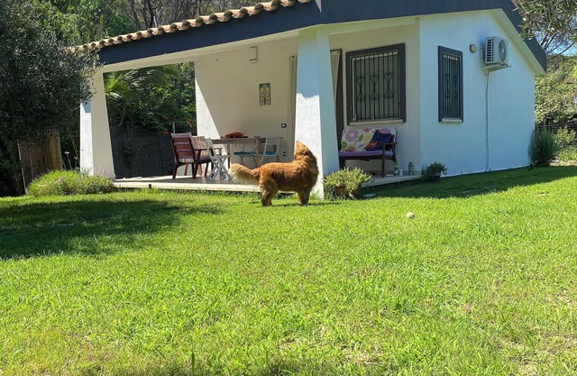 Villino Vita. Independent with garden 2 steps from the sea