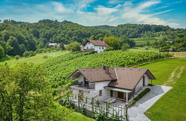 Vineyard Cottage Radovlja With Sauna, Šmarješke Toplice, Slovenia