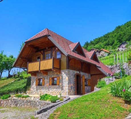 Vineyard cottage Kralj