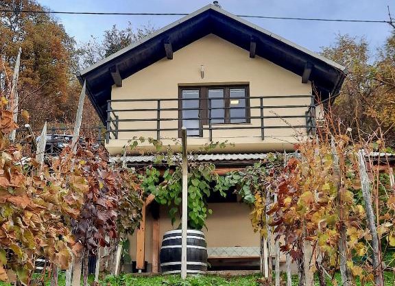 Vineyard cottage Kulovec