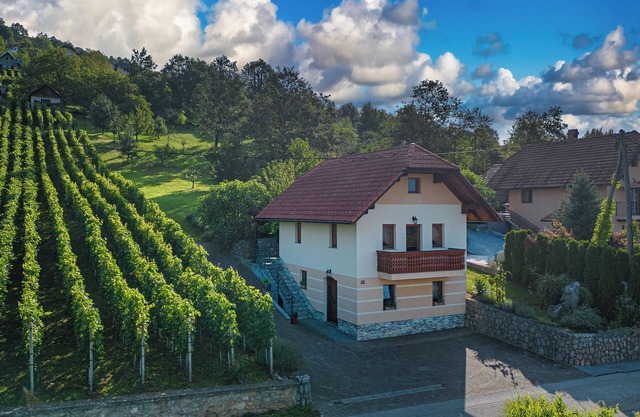 Vineyard Cottage Pyramid, Dobrnič, Slovenia
