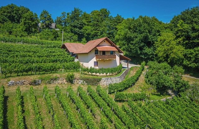 Vineyard Cottage Ucman, Otočec, Slovenia