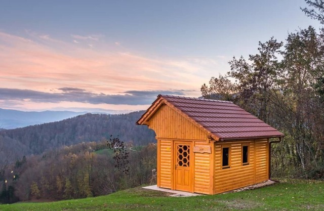 Vineyard cottage Vina in medu