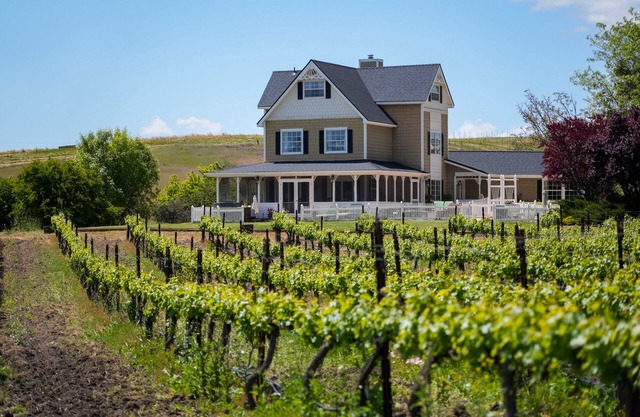 Vineyard Retreat in a Stunning Vineyard Setting and Views, Hot Tub, and More