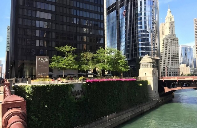 Visit Chicago! 4 Modern Units near 360 Chicago and Oak Street Beach! Parking!