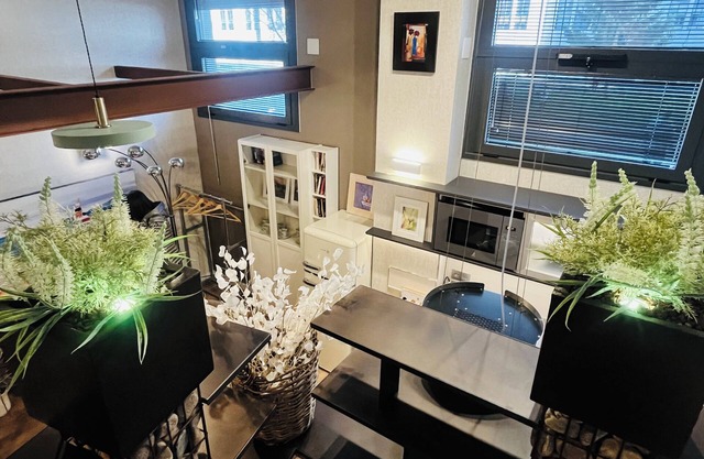 Vista Alegre Hubu Loft