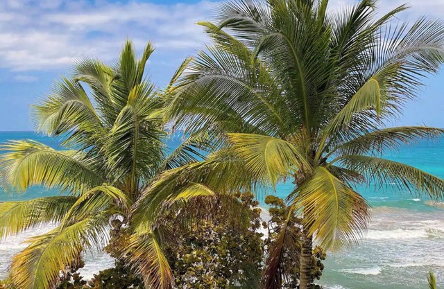 Vista Bonita Sandyhills modern 3bedroom,2bath s beach front condo