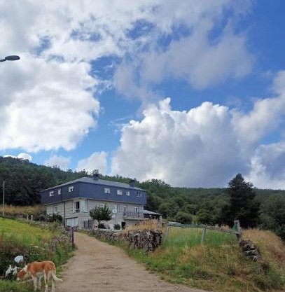 Vista Estrelada