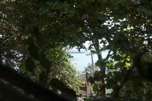 Vista para o mar junto a natureza AV3740