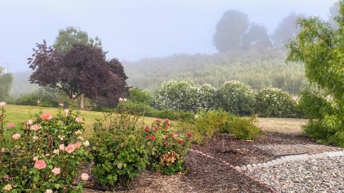 Vista Vine Cottage