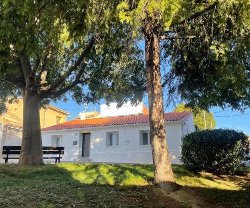 Vivienda turística rural cerca de Bardenas y Senda Viva
