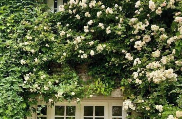 Vraie Belle Maison de Campagne à 1h de Paris !