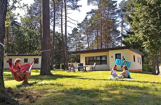 Vulkaneifel Type L-C6