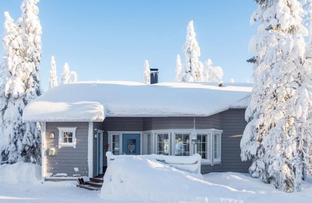 Vuosselinhovi C by Interhome
