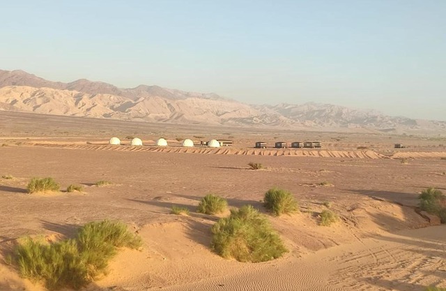 Wadi Araba Camp