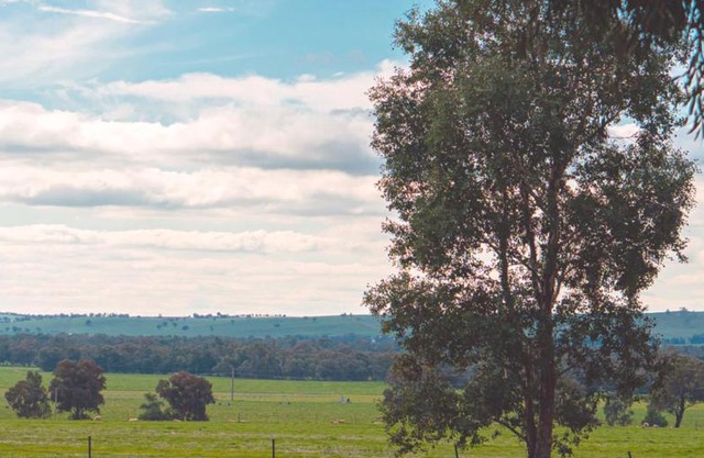 Wagga Wagga Tourist Park