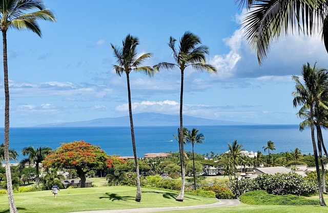 Wailea Ekolu #1508 Best Location, Panoramic Ocean View, Renovated, Full A/C