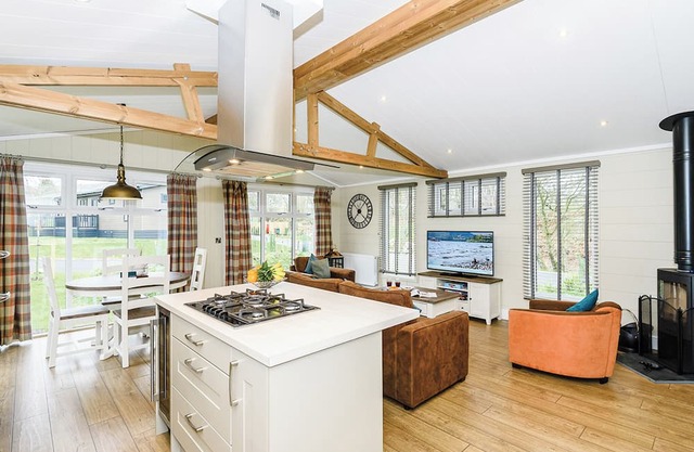 Wainwright Log Burner