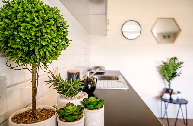 Waitaki Lakes Apartments