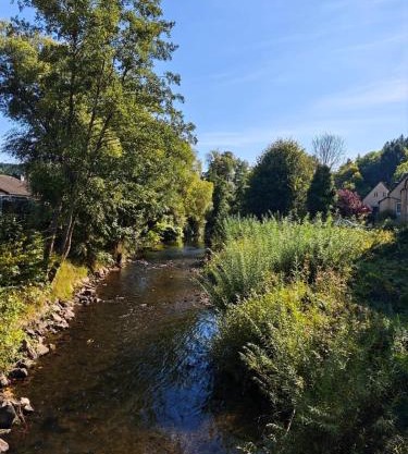 Waldoase im Nationalpark Eifel für 7 Gäste und max 2 Hunde in 1A Lage