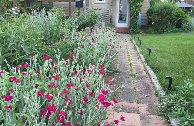 WALK TO BEACH - Founders Landing, Southold - restaurants, Village, Jitney, LIRR