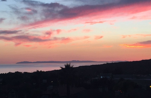 Walk to Ritz Cove and dine at the Waldorf Astoria!