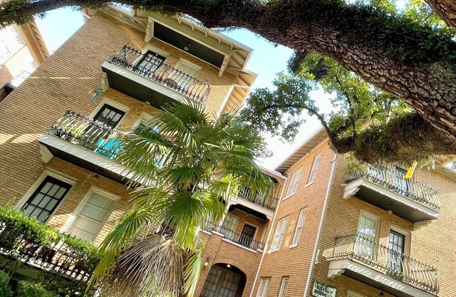 Walkable Midtown Condo Under the Oaks
