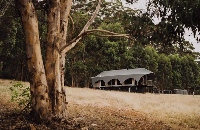 Wandagar Eco Tent Baudin