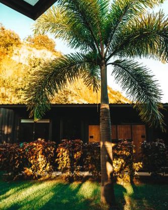 Hostel 