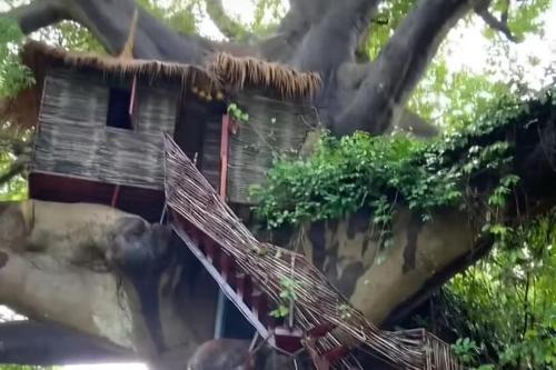 Wassado Cultural Resort