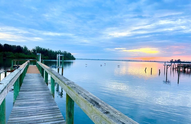 watch dolphins/manatees/birds