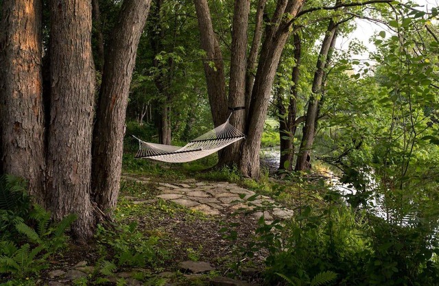 Waterfront Cottage with Sauna, Fire Pit, and Kayaks—A Film-Themed Experience!