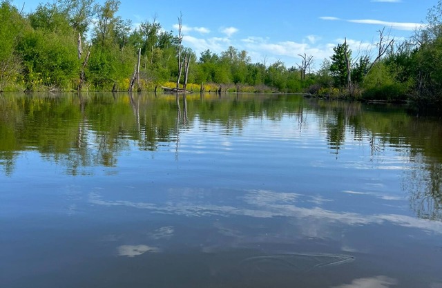 Waterfront cottage in Calhoun County, IL
