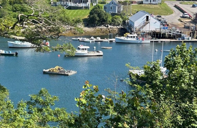 Waterfront Cottage on Working Fisherman's Harbor with Shared Dock and Float