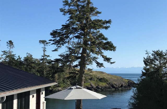 Waterfront Cove, West Side Of San Juan Island, Sandy Beach, Prime Orca location